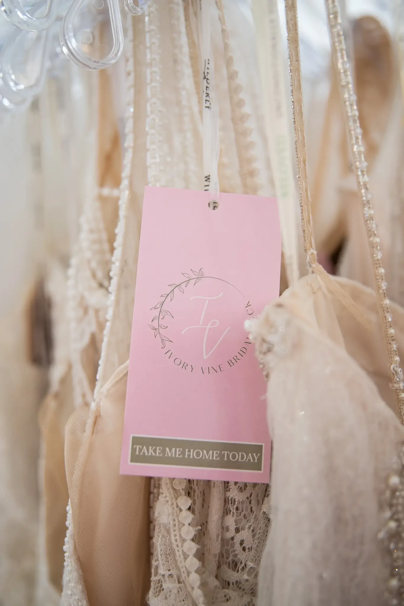 A Fresh Start for Wedding Planning: The Ivory Vine Spring Cleaning Sale Image